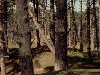 A Ghost Story for Christmas A Warning to the Curious (1972) download