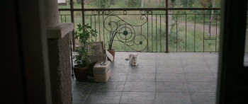 A Woman Called Mother (2025) download