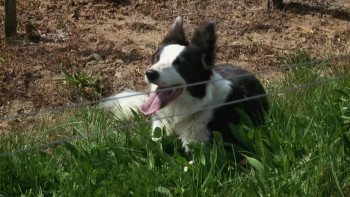 A Year in Burgundy (2013) download