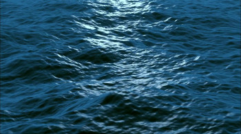 A Year in Space (2016) download