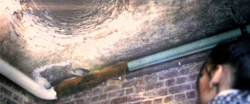 AB-Negative (2006) download