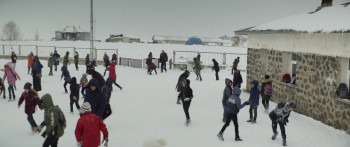 About Dry Grasses (2023) download