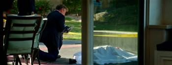 Adopted (2024) download