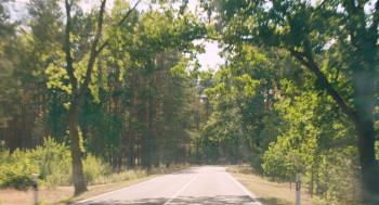 Afire (2023) download