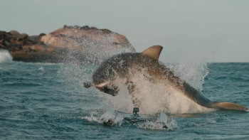 Air Jaws: Final Frontier (2023) download