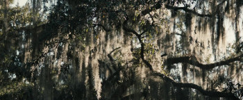 Alice (2022) download