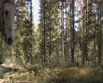 All Hell Broke Loose (2009) download