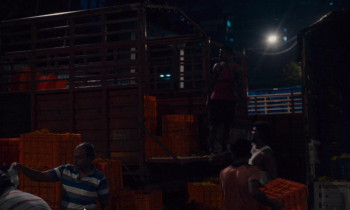 All We Imagine as Light (2024) download