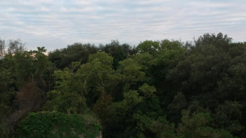 Alla ricerca dei fantasmi italiani (2023) download