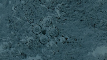 Almost Human (2019) download