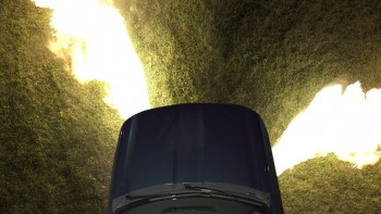 Alpacalypse (2024) download