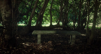 Altered Reality (2024) download