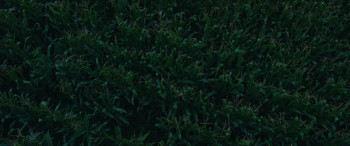 American Fable (2016) download