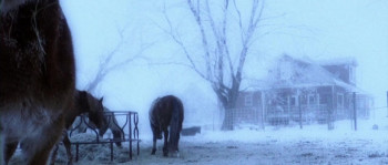 American Maniacs (2012) download