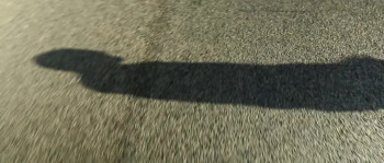 American Muscle (2014) download