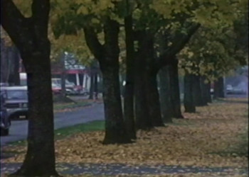 American Taboo (1983) download