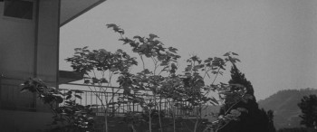 Green Rain (1966) download