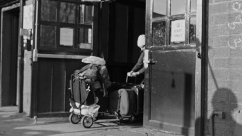 An Intimate Evening with Adam Pally (2025) download