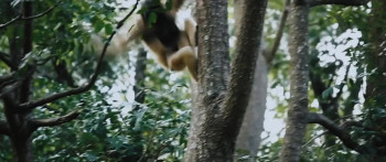 Anaconda (2024) download