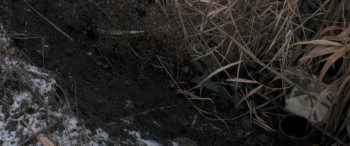 Anatolian Leopard (2021) download