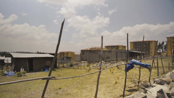 Anbessa (2019) download