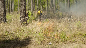 Anchor Point (2021) download