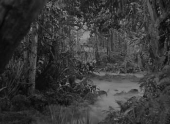 Angel on the Amazon (1948) download