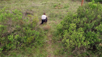 Animals on the Loose: A You vs. Wild Movie (2021) download