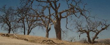 Annabelle: Creation (2017) download