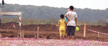 Anul dragonului (2013) download