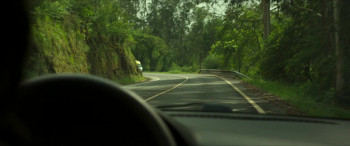 Apocalypse Z: The Beginning of the End (2024) download