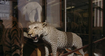 Archiv der Zukunft (2023) download