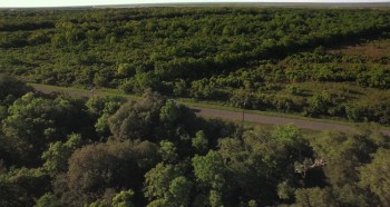 Armed Response (2017) download