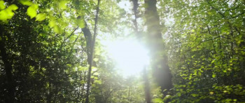 Arsène Wenger: Invincible (2021) download