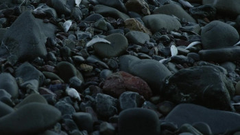 Artifishal (2019) download