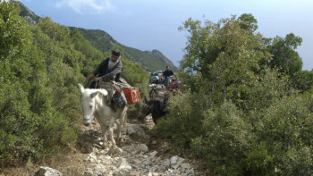 Athos (2016) download