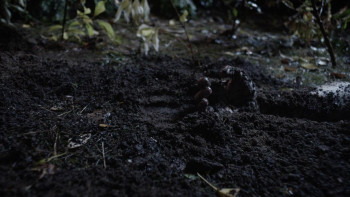 A Bone to Pick: An Aurora Teagarden Mystery (2015) download