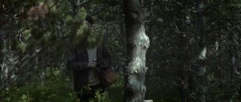 Autumn Lights (2016) download