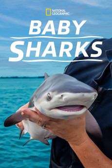Baby Sharks (2022) download