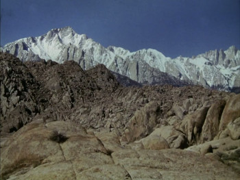 Backtrack! (1969) download