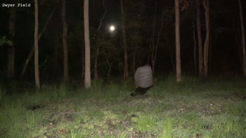 Bad Ben 12: Alien Agenda (2023) download