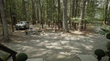 Bad Bunny (2025) download