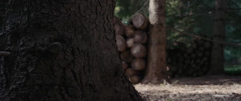 Bad Frank (2017) download