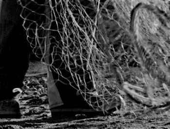 Bait (2019) download