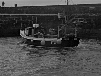 Bait (2019) download