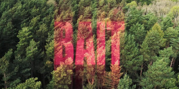 Bait (2025) download