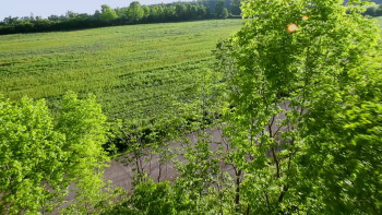 Balloon Man (2021) download