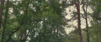 Barbarians (2021) download