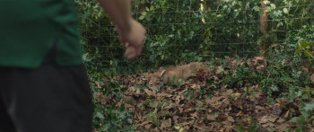 Barbarians (2021) download