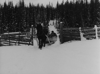 Barnen från Frostmofjället (1945) download